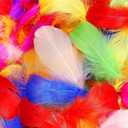 THARAHT 360pcs Colorful White Goose Feathers 3-5 inch Bulk for Crafting Dream Catcher Accessories Art Projects DIY Handmade Wedding Home Party Decorations Natural Feather