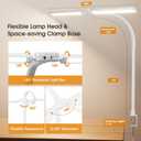 SIBRILLE LED Desk Lamp for Home Office - Dimmable Computer Desk Light with Clamp, Modern Architect Task Lamp with Color Changing, Flexible Desktop Lamp with Gooseneck for Monitor, Double Head, White