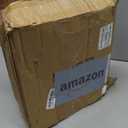 Raz Set of 3 Champagne Gold Glittered Christmas Trees- 6.5 inches to 9.5 inches Tall