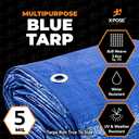 Better Blue Poly Tarp 6' x 8' - Multipurpose Protective Cover - Lightweight, Durable, Waterproof, Weather Proof - 5 Mil Thick Polyethylene - by Xpose Safety