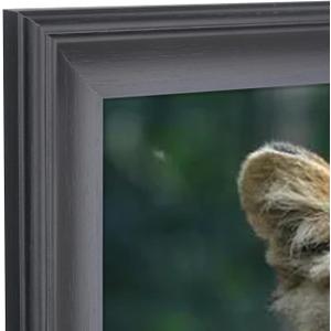 23x23 inch Picture Frame Solid Wood 23x23 Photo Frame 23x23 Poster Frame (A23B2323)