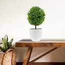 Amosfun 2Pcs Artificial Topiary Balls in Pots Simulated Boxwood Eucalyptus Plants Decorative Indoor Table Centerpieces for Home Office Relaxation