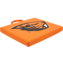 Logo Brands Officially Licensed NCAA Unisex Bleacher Cushion, One Size, Team Color (14" x 14" x 1")