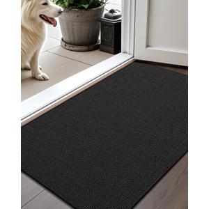 Color&Geometry Thin Door Mat Indoor Entrance Non Slip Rubber Backed, 24"x36" Indoor Door Mats for Entryway, Dirt Trapper Doormat, Washable Front Door Rugs, Ebony Black
