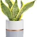 Ekirlin 4 inch Plant Pot - Ceramic Flower Planters Indoor - Modern Succulents Containers with Drain Hole Saucer, Decorate Home, Office & Outdoor (Grey)