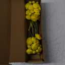 Letjolt Ranunculus Artificial Flower Yellow Silk Flowers Faux DIY Bouquet for Wedding Engagement Centerpieces Arrangements Bridal Shower Decorations Home Decor 18pcs
