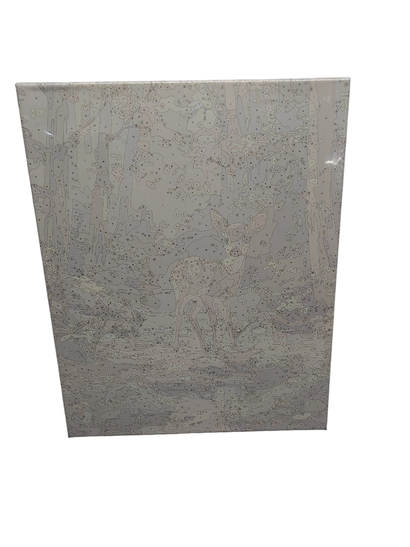 Paint by numbers,19,7x15,7 inch