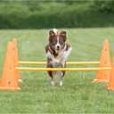 Trixie Dog Agility Hurdle Cone Set Dog Agility Set with Height Adjustable Crossbar for Beginners & Advanced, Dog Agility Equipment for Dog Obstacle Courses 6 x Cones, 3 x Agility Rods