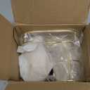 HarJue Toothbrush Holder Stand for Bathroom, Metal Toothbrush Organizer with Marble Base, Toothbrush Storage Collection for Family, Suitable for Home Hotel Countertop Vanity (Medium, Gold)