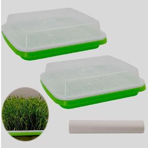 Seed Sprouter Tray 2PCS Soil-Free Wheatgrass Grower Sprouting Container with Lid 20CPS Germinating Growing Paper