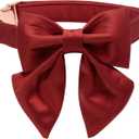 Lionet Paws Bowtie Dog Collar - Comfortable Silk Dog Collar with Detachable Bow Tie for Small Dogs, Neck 10-16 Inches (Red)