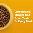 Pedigree Adult Dry Dog Food, Complete Nutrition, Roasted Chicken & Vegetable Flavor, 3.5 lb. Bag (EXP 12/12/26)