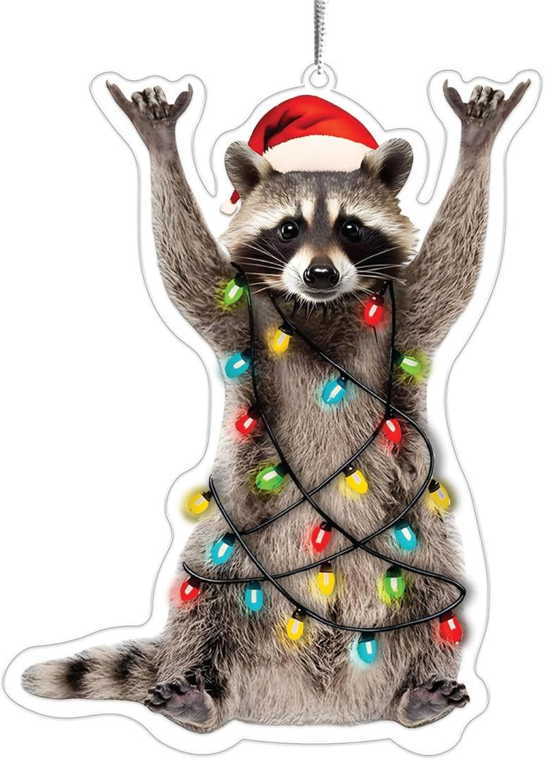 2 x Raccoon Christmas Ornament, Double-Sided Print, Racoon Ornament, Animal Ornaments, Funny Christmas Ornaments, Funny Raccoon Gifts for Women, Racoon Gift, for Grandkids, Family, Friends