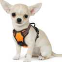 Eagloo Small Dog Harness No Pull, Service Vest with Reflective Strips and Control Handle, Adjustable and Comfortable for Easy Walking, No Choke Pet Harness with 2 Metal Rings, Orange, XS