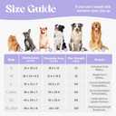 LE SURE Cute Dog Bed Medium Size Dog, Orthopedic Waterproof Medium Pet Beds with Sides, High Back Non-Slip Bottom and Egg-Crate Foam Pet Couch Sofa with Washable Removable Cover, Beige
