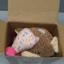 EXPAWLORER Squeaky Dog Birthday Toys - Durable Plush Dog Toy with Crinkle Paper,Chew Toys Soft Fabric for Small, Medium, and Large Dogs to Keep Them Busy,Training Reward, Pink Bear