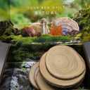 SENMUT 10 Pcs Large Wood Slices for Centerpieces 10-11 inches Wood Rounds for Tables Decor Rustic Wood Circles for DIY Crafts and Wedding Decor Round Wooden Discs Wood Slice Ornaments
