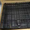 Amazon Basics Portable, Foldable Metal Wire Dog Crate with Removable Tray, Single Door, Divider Panel, Quick Setup, 30 x 19 x 21 in, Black