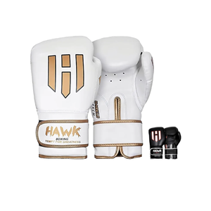 Hawk Sports Boxing Gloves for Men and Women, Comfy Boxing Training Gloves with Foam Padding for Throwing Power Punches with Confidence, Heavy Bag Boxing Gloves for Training and Sparring 12.OZ