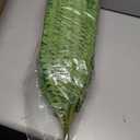 FOREST PRINCE 50" Artificial Boston Ferns, Fake Bush Plants, Large Faux Ferns with 96 Fronds for Outdoors Home Decor