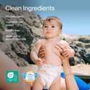 Coterie Baby Swim Diapers, Size Medium (20-34 lbs), 2-Pack (36 Total Diapers) | Disposable Water Diapers for Pool & Beach | Hypoallergenic, No-Swell Design for Sensitive Skin