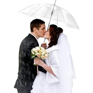 Saintrygo 20 Pack Clear Umbrellas Bulk,Windproof Waterproof Stick Wedding Umbrellas with J Hook Handle for Outdoor Events