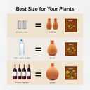 The Olla Company Classic Olla Watering Pot with Lid - Terracotta Self Watering Irrigation up to 1 ft in Diameter for Gardens, Raised Beds, and Small Pots - Vacation Friendly - Mini - Set of 2