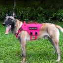 Tactical Dog Harness - PETNANNY Dog Harness Service Dog Vest for Large Breed Dog, Hook and Loop Panel for Service Dog Patchs, Work Dog MOLLE Vest with Handle for Walking Hiking Training(Pink,M) (Standard M (Chest: 2334", Neck: 17-24"))