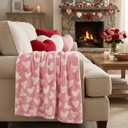 Horaldaily Valentine Flannel Blanket Throw, Pink Love Heart Painting Soft Fuzzy Plush Cozy Fleece Blankets for Couch Sofa Bed Lounging, Ideal Gifts for Kids Adults Wife Self, 50x60