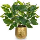Oairse Articicial Plants Indoor Small Fake Plants in Pots Faux Pothos N Joy Potted Plant Fake Indoor Plants with Gold Pots for Bathroom Living Room Office Desk Shelves