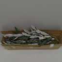 Waipfaru 5pcs 29'' Olive Branches for Vases with Battery Operated Lights, Lighted Olive Tree Branches with Timer, Artificial Greenery Stems Decor for Centerpieces Flower Arrangements Vases