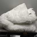 Fluffy Area Rug Living Room: White Shag Rug 6x9 Plush Rugs for Living Room - Large Fuzzy Soft Carpet (White 6x9 Feet)