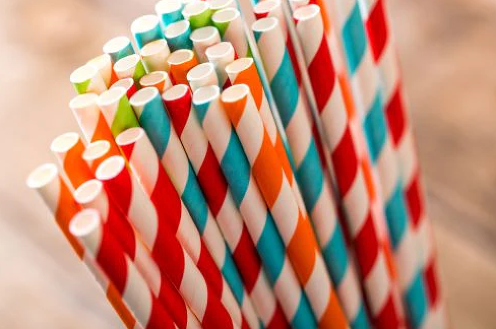 Biosmart Paper Straws Jumbo Pack 75 Count, 1 Ea