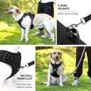 NOYAL Dog Lift Harness for Senior & Injured Pets Full-Body Support Sling with Breathable Mesh, Front/Rear Leg Assist for Arthritis, Hip Dysplasia & Post-Surgery Recovery (Large)