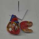 breesky Life Size Human Heart Model, Anatomically Accurate 2-PartMedical Model with 48 Anatomical Structures & Mounted Display Base & Number Manual for Classroom & Cardiology Study