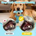 Squeaky Dog Toys, 2PCS Squeaky Dog Chew Toys Bear Plush Dog Toys to Keep Them Busy, Built-in a Squeaker Interactive Chew Toys for Small Animals Pet Dogs Puppy Teething