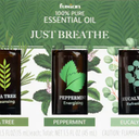 Fusion™ Essential Oil Just Breathe Pack