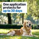 Amazon Basics Preventative Flea and Tick Topical Treatment for Medium Dogs (23-44 lbs), Up to 30 Days Protection, Fast Acting, 6 Counts