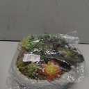 MyGift 8 Inch Round Modern Artificial Succulent Arrangement Potted in Gray Concrete Plant Bowl, Assorted Faux Mini Succulents in a Decorative Planter Pot (Grey)