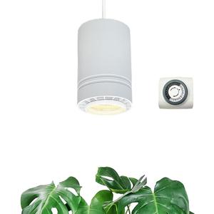 Hanging Grow Light 40W Large, Full Spectrum Warm White Color Plant Lamp, 120V Plug-in with Timer, 15FT Fabric Power Cord, Decorative Pendant Plant Light