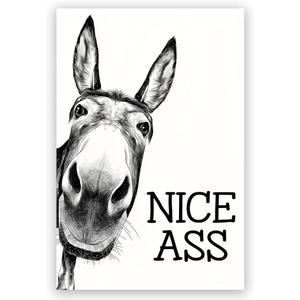Black and White Bathroom Wall Art Decor Nice Ass,Donkey in Bathroom Canvas Posters,Interest Animals Wall Decor Vintage Farmhouse Home Humor Print Paint 16x24inch Unframed