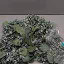 Winlyn 5.9' Long Faux Silver Dollar Eucalyptus Leaves Greenery Artificial Garland in Grey Green for Wedding Arch Swag Backdrop Doorways Table Runner Indoor Outdoor