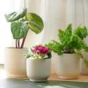 4 + 5 + 6 Inch Ceramic Pots for Indoor Plants, Succulents Plant Pots, Orchid Flower Pot with Drainage Hole, Modern Clay Stoneware Planters, Set of 3 (Milk White, 4+5+6 Inch)