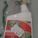 Bonide Captain Jack's Copper Fungicide, 32 oz Ready-to-Use Spray for Organic Gardening, Controls Common Diseases