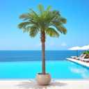 FloraFairy 6FT Artificial Coconut Palm, Faux Coconut Silk Palm Tree, Tropical Fake Trees for Indoor Outdoor, Large Sago Palm Plant for Home Office Garden Patio Poolside, 1 Pack