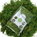 USMOLA Artificial Moss 16oz Fake Moss for Crafts, Fairy Gardens, Wedding & Party Decor, Centerpieces & Potted Plants (Fresh Green, 455g)