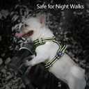 PoyPet No Pull Dog Harness, No Choke Reflective Dog Vest, Adjustable Pet Harnesses with Easy Control Padded Handle for  Dogs(Military Green,XS)