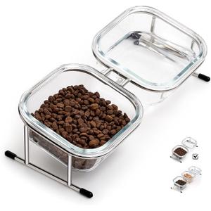 Hannadepot Elevated Cat Bowls, 15 Tilted Glass Raised Cat Food Bowl with Stainless Steel Stand, 2 Large Capacity Glass Cat Bowls and 4 Anti Slip Feet, Suitable for Cats and Little Dogs