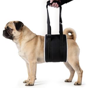 Dog Lift Harness, Adjustable Comfortable Dog Sling with Handle for Hind Leg Support Soft Lift Support and Rehab Harness for Weak Rear Legs, Helps Senior, Injured, Disabled and After ACL Surgery Dogs S