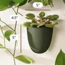 Make Good PlantPod Luxe - Self-Watering Wall Planters (Set of 6, Forest Green) - Easy to Water and Install - Lightweight - Design Your Own Vertical Garden - Wall Planters for Indoor Plants